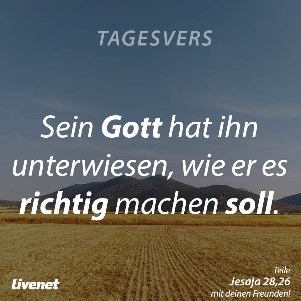 Tagesvers